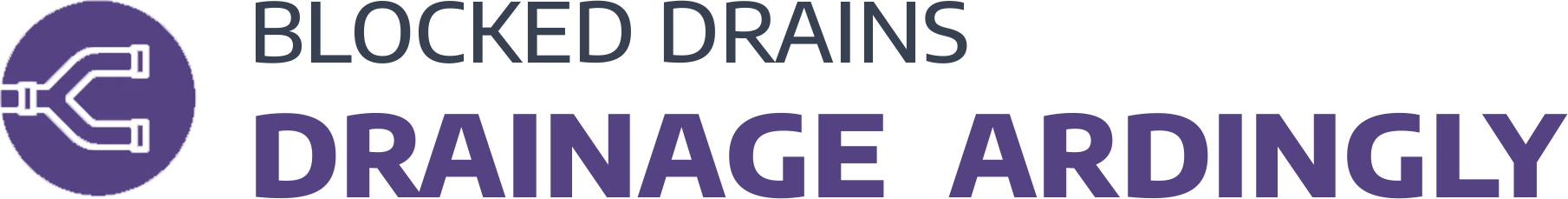 website logo